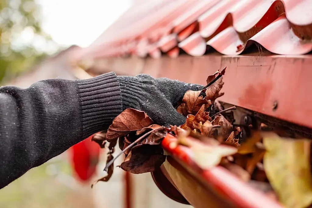 clearing debris during a gutter cleaning service